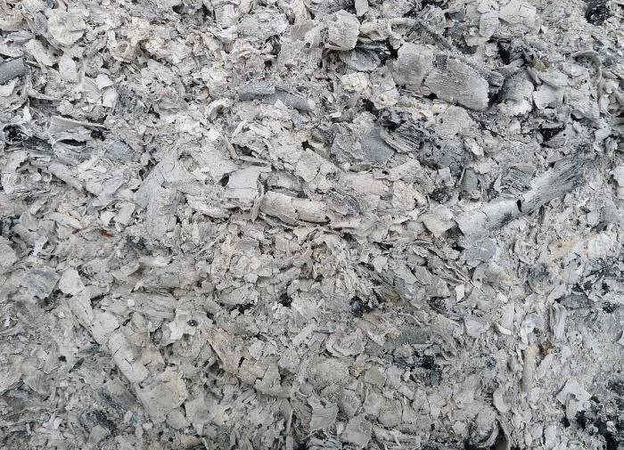 Ошибки огородников: какие культуры не переносят золу?