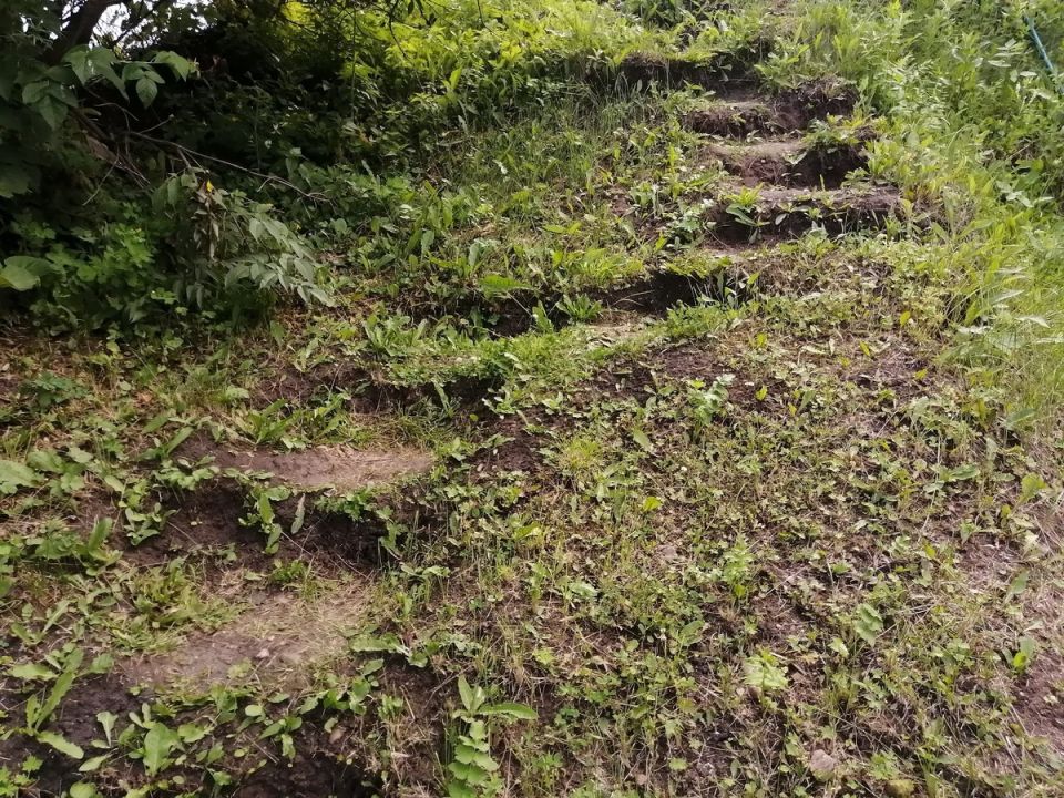 Как превратить сложный участок на холме в уютный сад мечты?