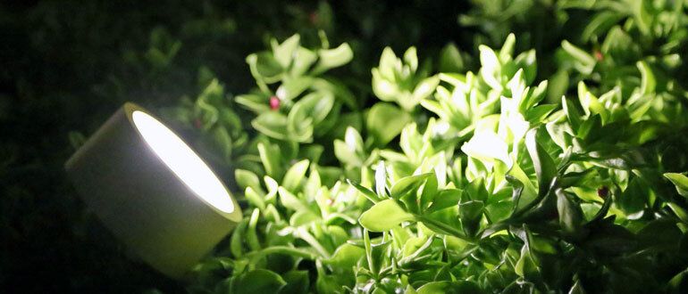 Тайна вечернего сада: как освещение изменяет облик вашей территории