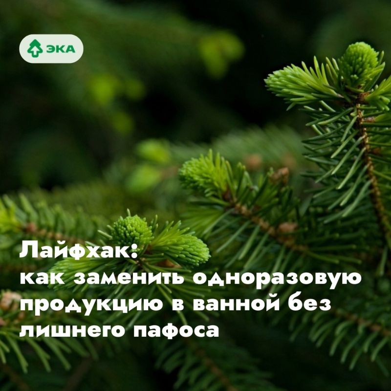 ������ ��������: ������� ������ � ������ ��� �������� �������