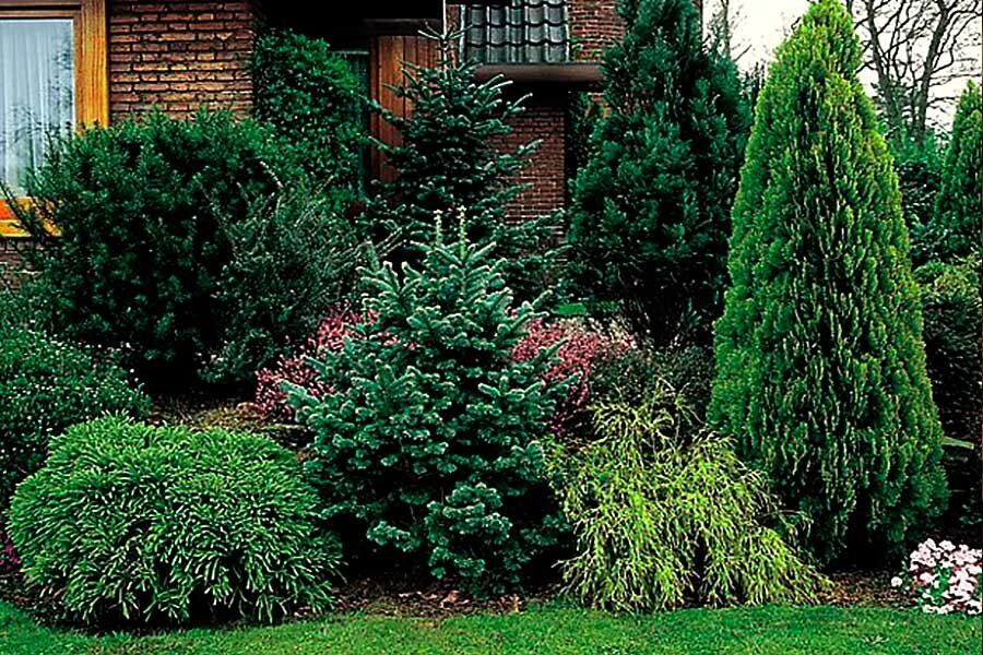 �������� �������� ���� �� ����: ��� ������� � ���������