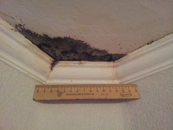 Как избежать покупки квартиры с проблемами: настоящие судебные баталии с застройщиками