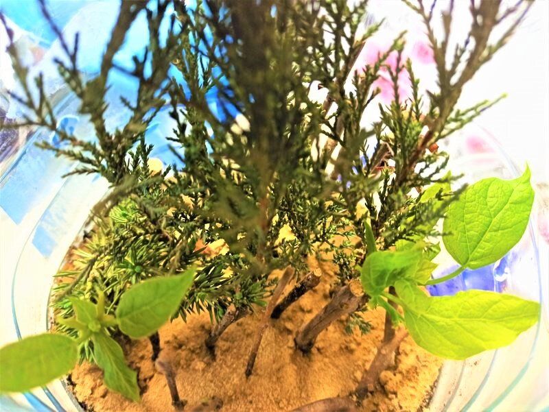 ������������ �������� �����: ��� �������� ������ ���� � ������