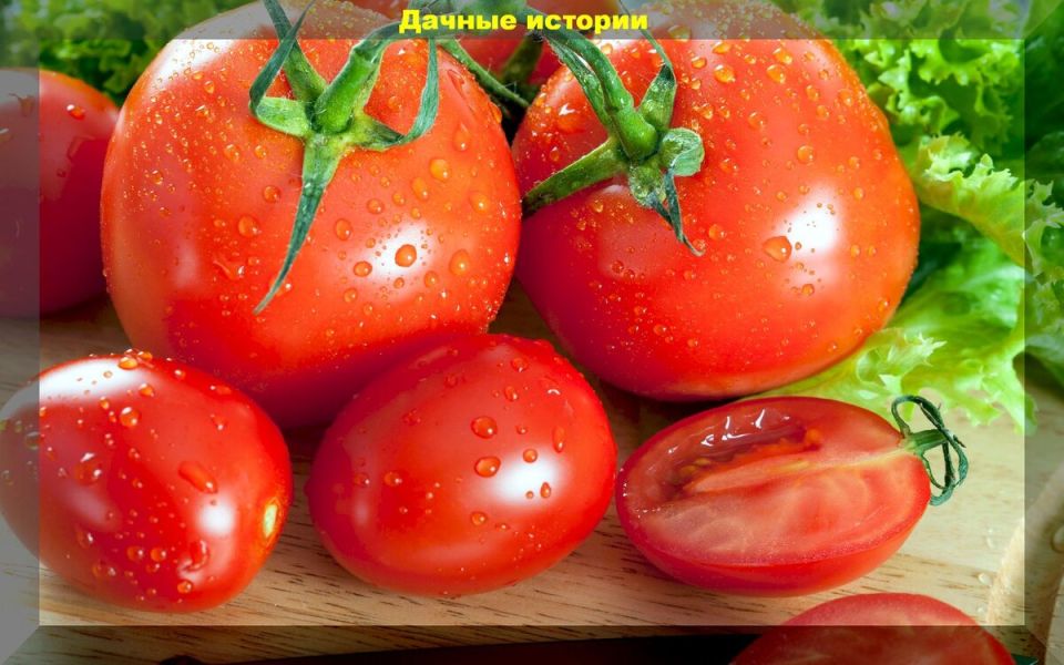 �������� ��� ��������: ��������, ����� �� �� ��� ������������