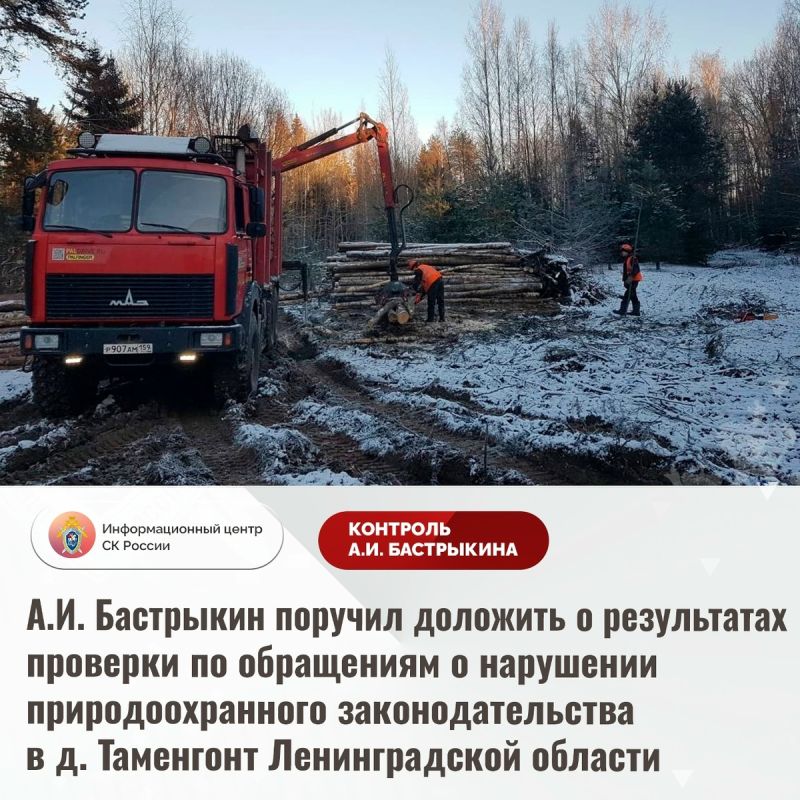 Экологический конфликт в Ленинградской области: кто защитит природу?