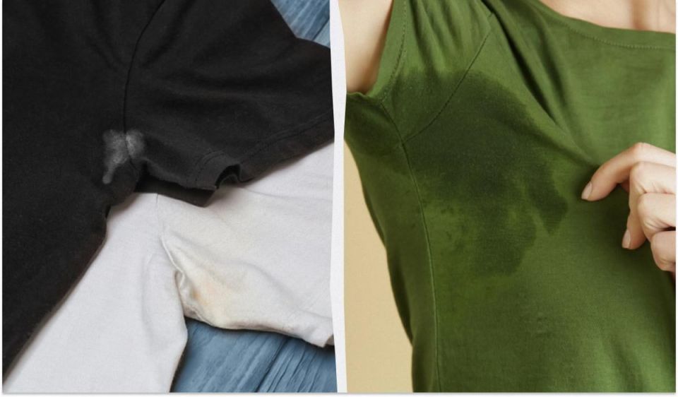 ��� ���������� ���������� �� ����� �����������: ������ � ������������