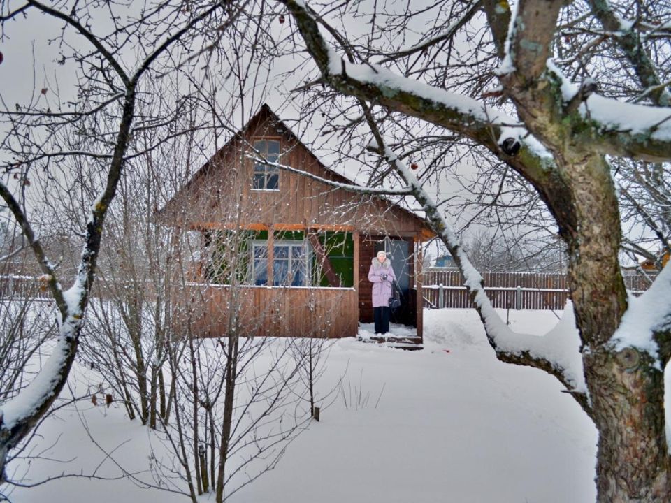 Зимний урожай на приподнятых грядках: секреты успешного растеневодства