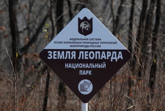 ������������� �������: ����� ������������ �������� ���������� ������������