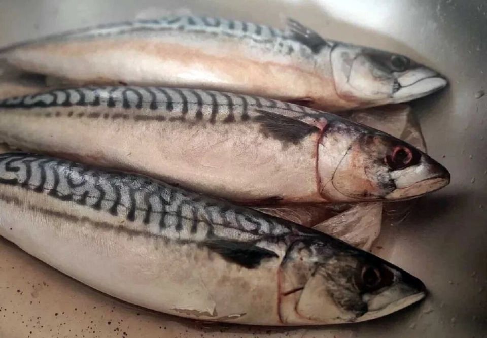 ��������: ������� ��������