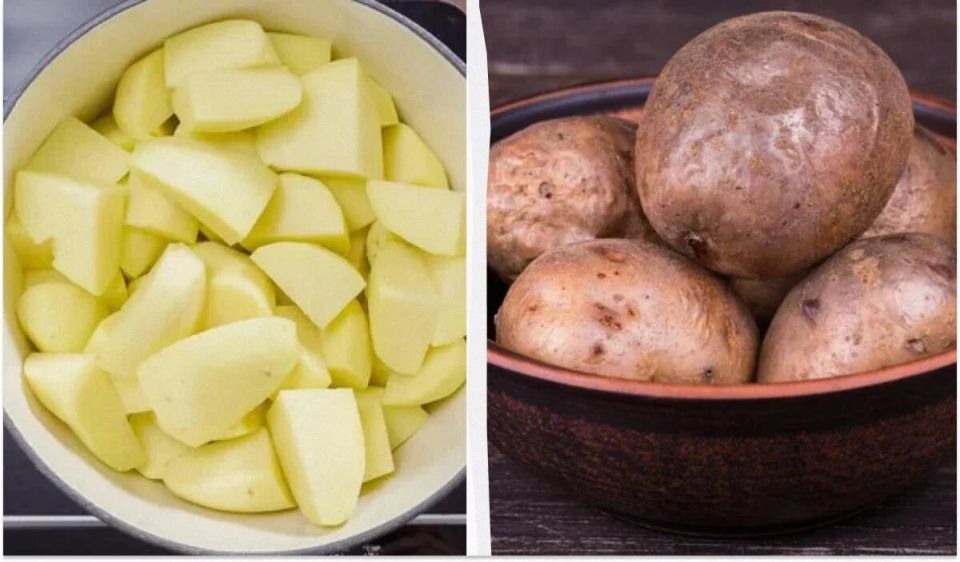 ��� ��������� ������ ��������: ������� �� �����