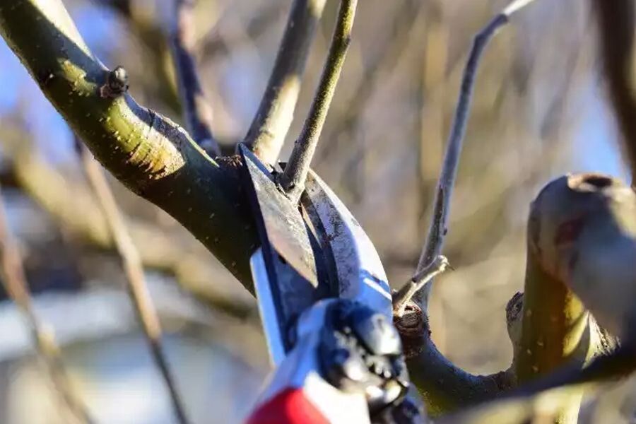 �������� ������� �� �������� ��������