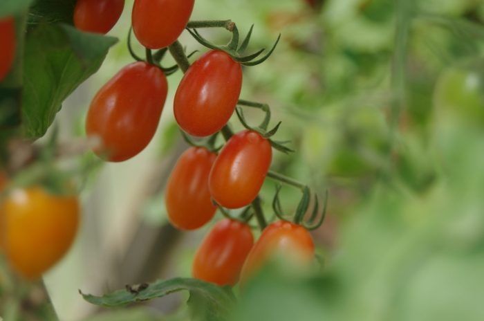 ����� �� ���: ��� �������� � ����� ���� ��������� ������ �����������