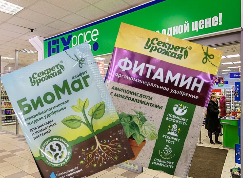 ��� �� ��������� ������ �������: ���� � ������� ���������� �� ��������