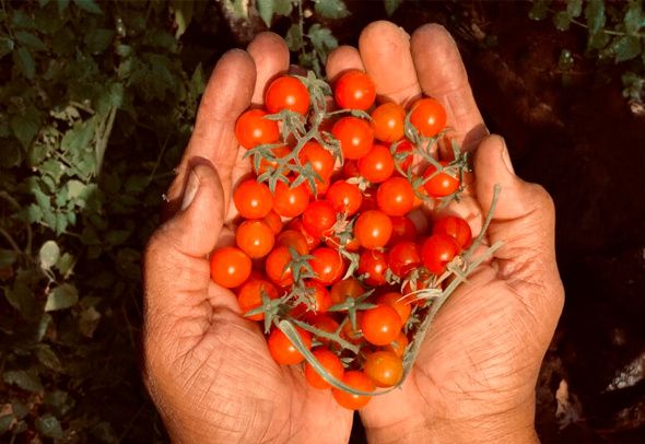 ����� �������: ���������� ����� � ������������ ������ ��� ������ �������