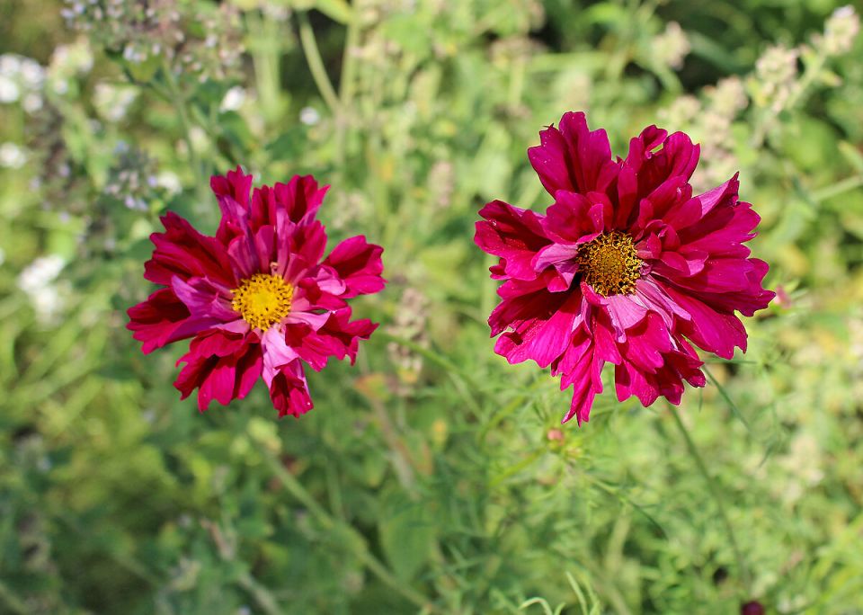 ������: ����� ������� ����� ����� �� ��������� ������� ����