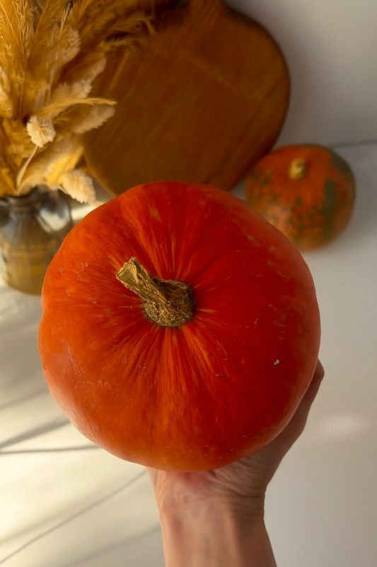 �����: ������� ������������ �� ����� �����