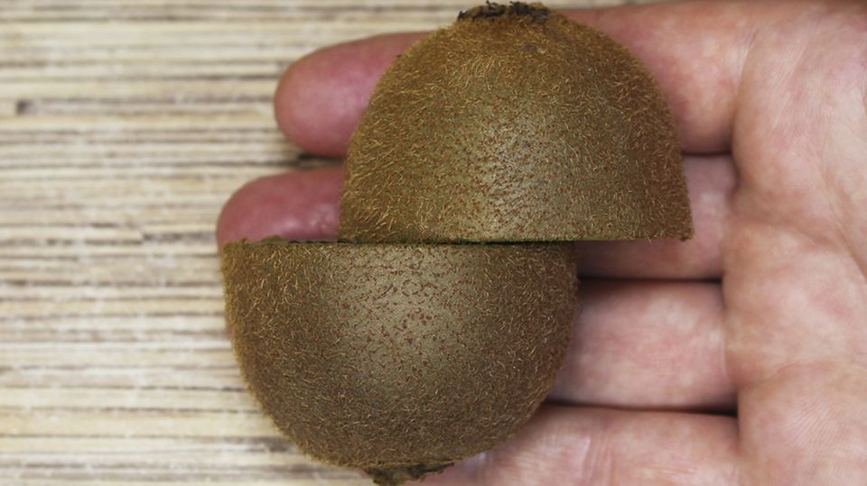 ���������� ������ � ����� �����, ������� ������� ��� ����������� ����