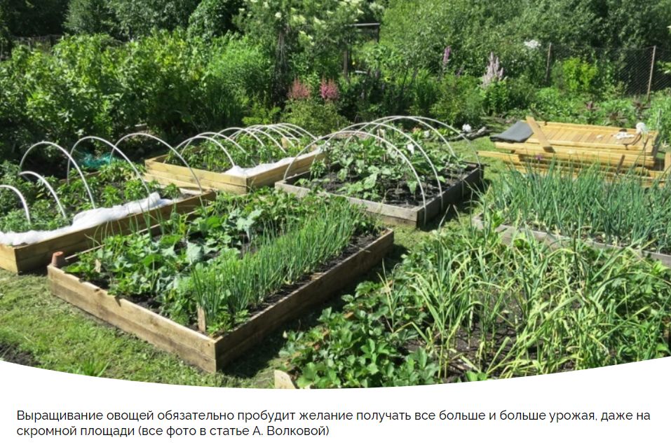 ��� ��������� ������� ������ �� ��������� �������: �������� ������