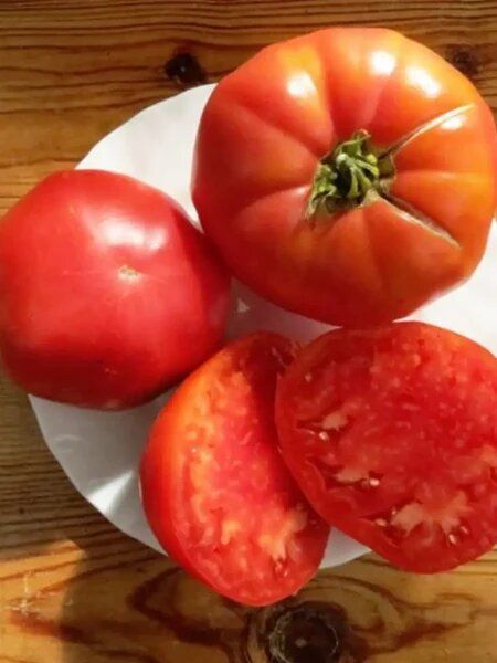 ����� ������� �������: ������������� ����� ������� � ������� �������