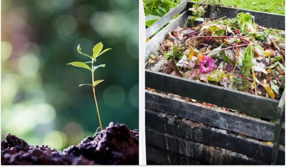 ����� ������� ���������� ����������� ��������� �������