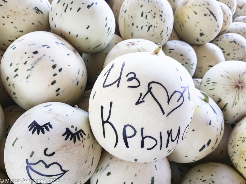 Тильда, кошки и дынная корочка: как сад и любовь к животным переплетаются в повседневности