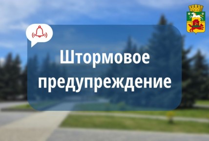  19       ,      , , , ,    17-22 /
