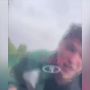 В Белове привлекли к ответственности водителя, который катал друга на капоте автомобиля