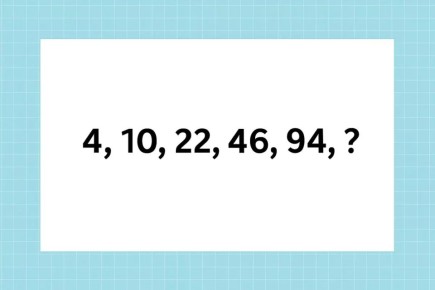     IQ:     
