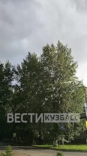          &quot;&quot;