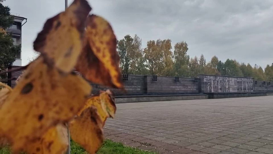     ,        - 