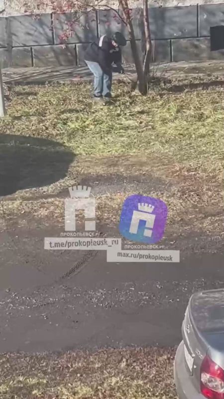 Срубил рябину из-за парковочного места житель Прокопьевского округа