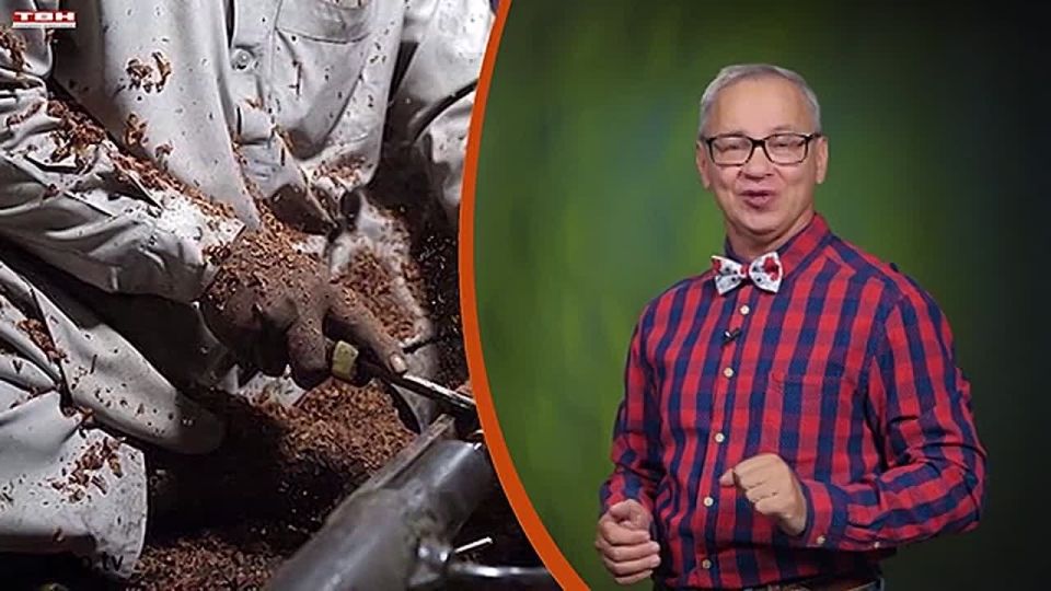 Всё обо всём. Волынки из Пакистана