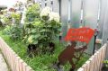 Кемеровчан приглашают принять участие во Всероссийском конкурсе «Лучший дом. Лучший двор» и представить свои достижения в области благоустройства