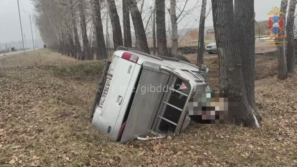 Смертельное ДТП в Ленинск-Кузнецком округе: иномарка врезалась в дерево и перевернулась