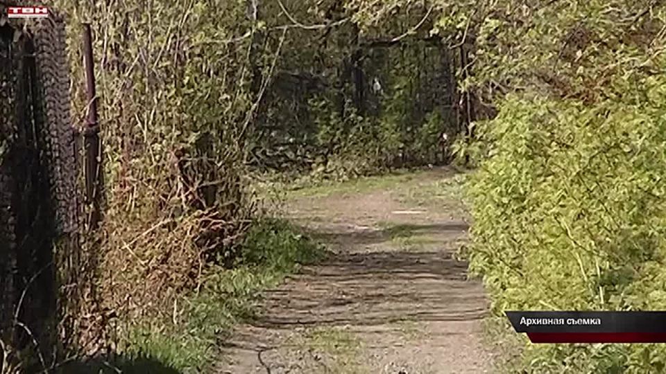 В Кузбассе завершается дачный сезон