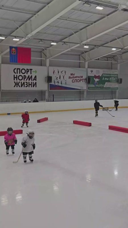 Первый лёд: в Кемерове тренеры опубликовали видео занятий с самыми юными хоккеистами
