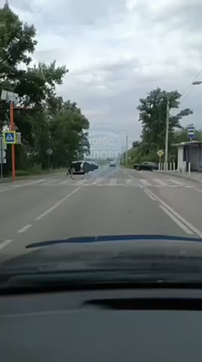 "Всё по правилам": корова переходит дорогу по зебре в Белове