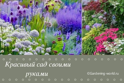 Секреты легкого ухода за садом: создаем красоту без лишних усилий