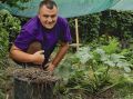 Как стать дачным агрономом: новый курс для современных садоводов