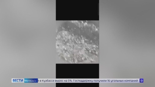 Следователи СК сегодня выясняют обстоятельства нападения стаи бездомных собак на 9-летнюю девочку в Березовском