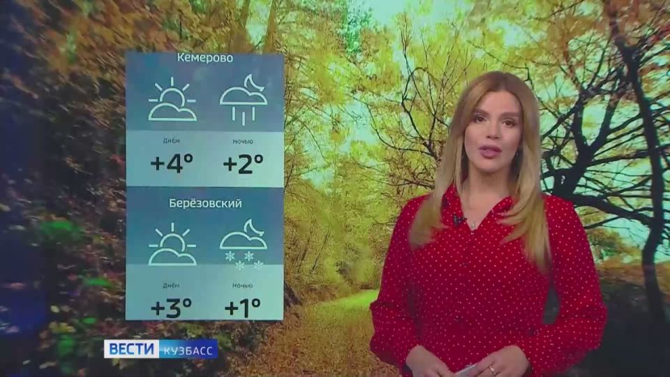 Доброе утро! Сегодня в Кузбассе переменная облачность, местами туманы, изморозь, гололёд