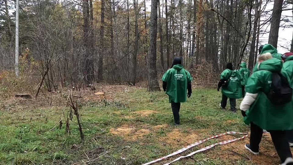 Хранители Рудничного бора расчищают лес от инвазивного клена вдоль центральной аллеи