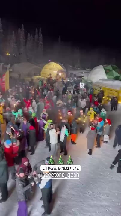 До Нового года осталось 65 дней!