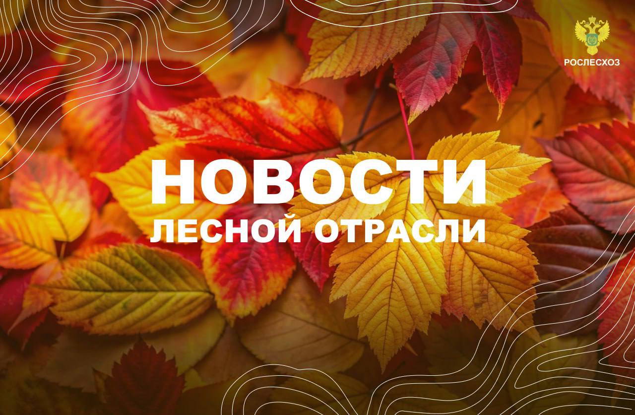 Интерфакс: Пожароопасный сезон в Тюменской области прошел спокойно - губернатор