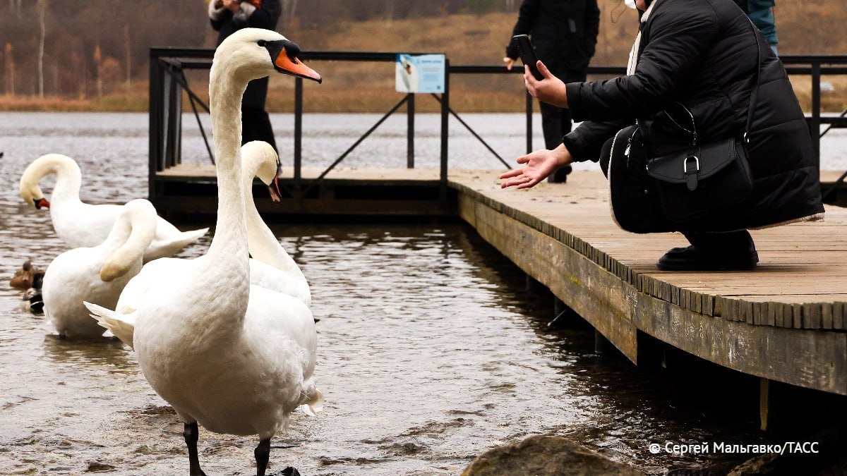 Облачную погоду, дождь и ветер до 14 м/с обещают синоптики 29 октября в ряде регионов Сибири