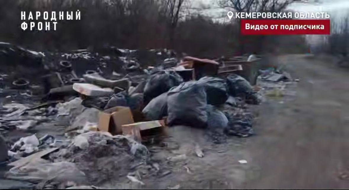 В Кемерове благодаря прокурорскому вмешательству ликвидированы несанкционированные свалки В Кемерове благодаря прокурорскому вмешательству ликвидированы несанкционированные свалки