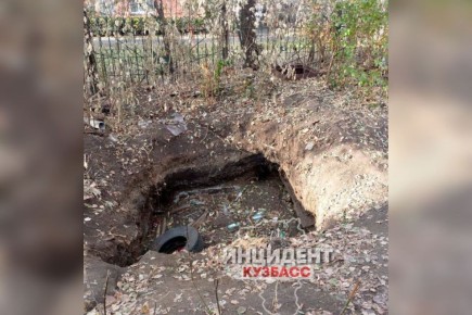 В Кемерове неизвестные обворовали погреба