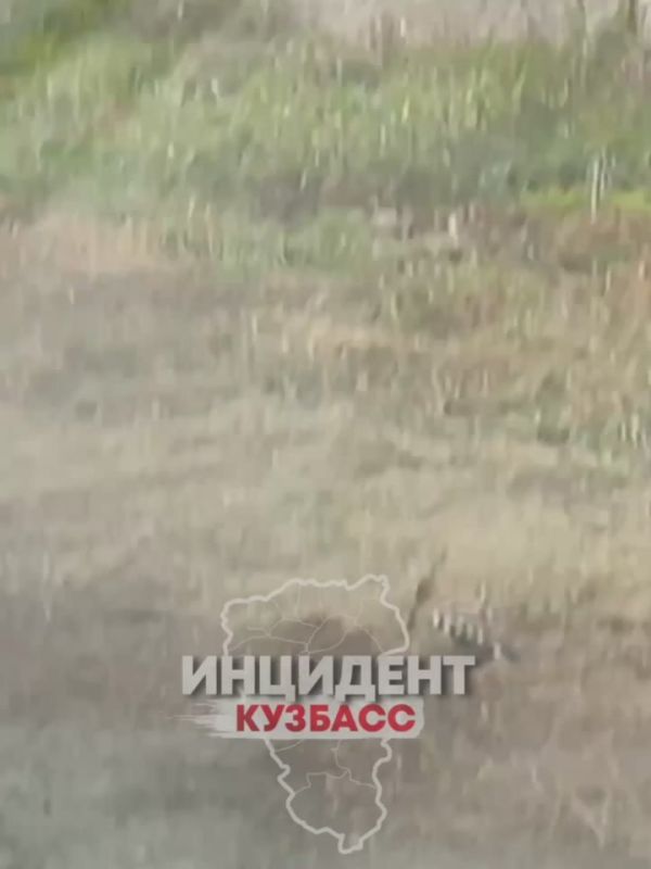 «Поймали по пути в Африку!»