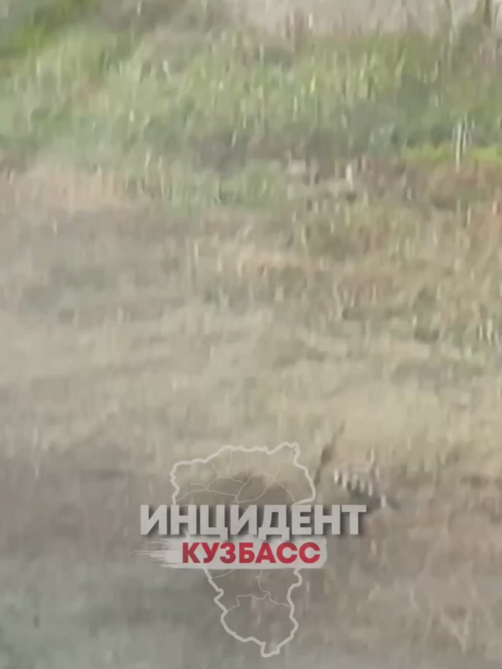 «Поймали по пути в Африку!»