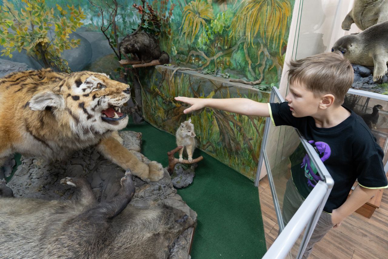 В Кемерове семьи участников СВО посетили планетарий и музей «Археология, этнография и экология Сибири» КемГУ В Кемерове семьи участников СВО посетили планетарий и музей «Археология, этнография и экология Сибири» КемГУ
